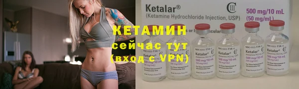трава Няндома