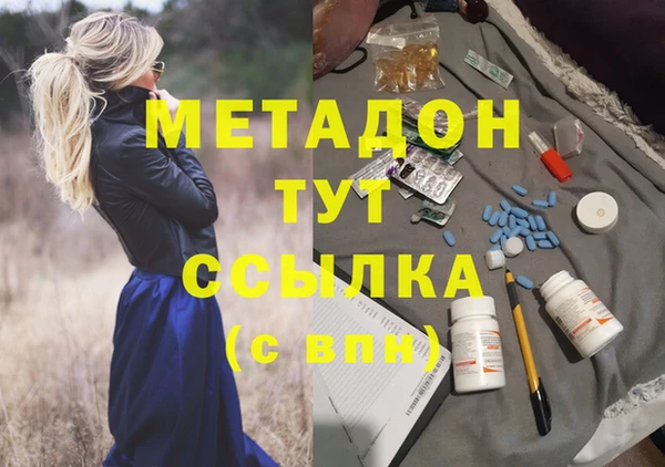 трава Няндома