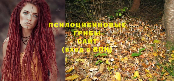 стафф Нязепетровск