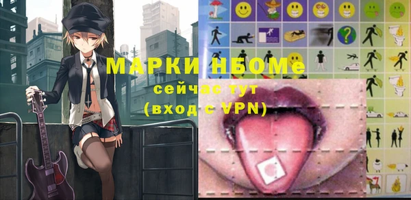 трава Няндома