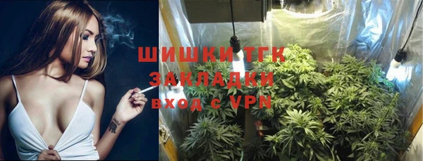 ПСИЛОЦИБИНОВЫЕ ГРИБЫ Нягань