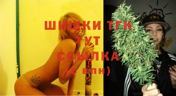 трава Няндома