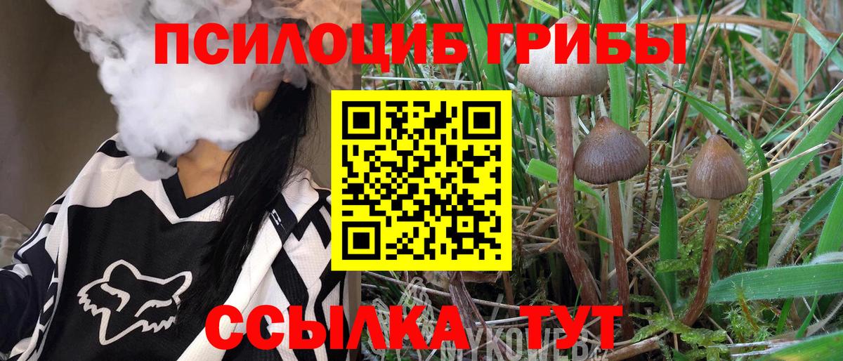 Балашов  Галлюциногенные грибы GOLDEN TEACHER  Вход с VPN 