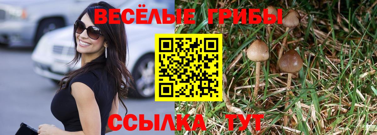Псилоцибиновые грибы мицелий Балашов